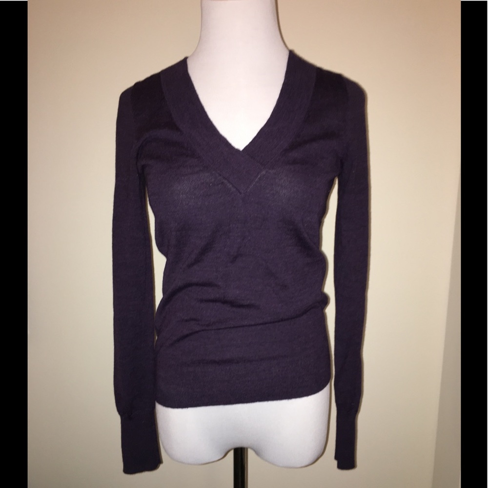 The Limited v neck sweater